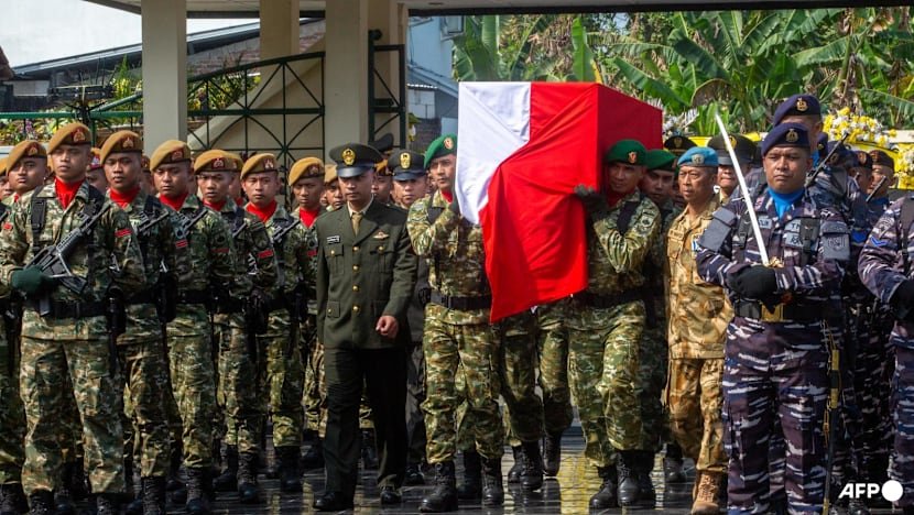 Indonesia Demands Answers After Peacekeepers’ Tragic Deaths