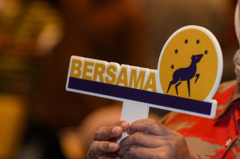 Bersama Aims for Youthful Representation in Upcoming Johor and Negeri Sembila.